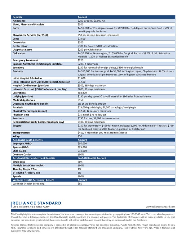 18-Pay Rate Highlights for Voluntary Accident Insurance - Page 2