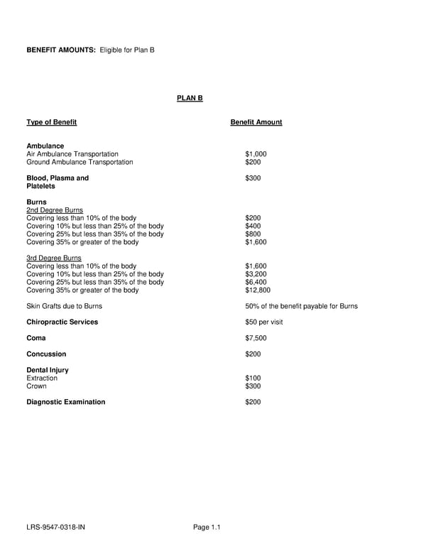 Voluntary Accident Policy - Page 10