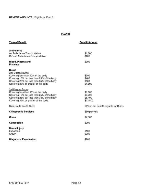 Voluntary Accident Certificate - Page 3