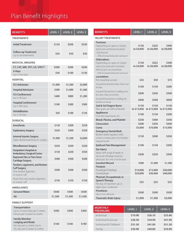 Accident (New Brochure) - Page 2
