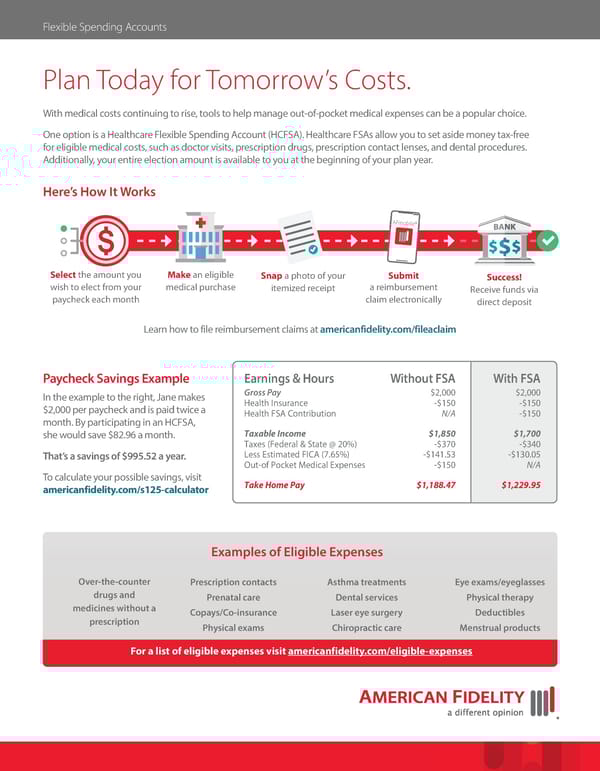 FSA Brochure - Page 1
