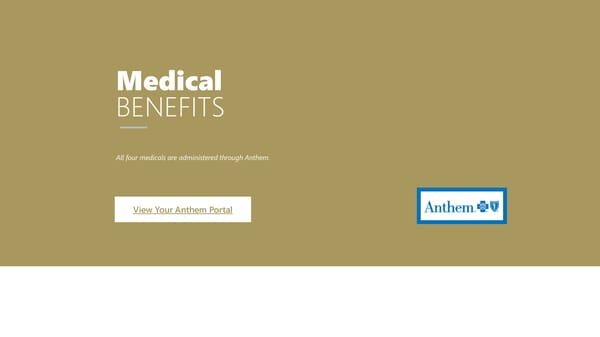Noblesville Schools Employee Benefit Guide - Page 7