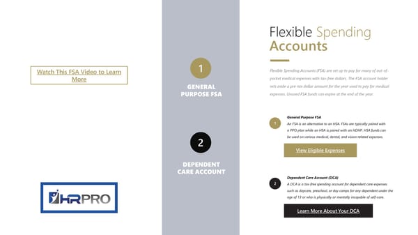 Noblesville Schools Employee Benefit Guide - Page 21
