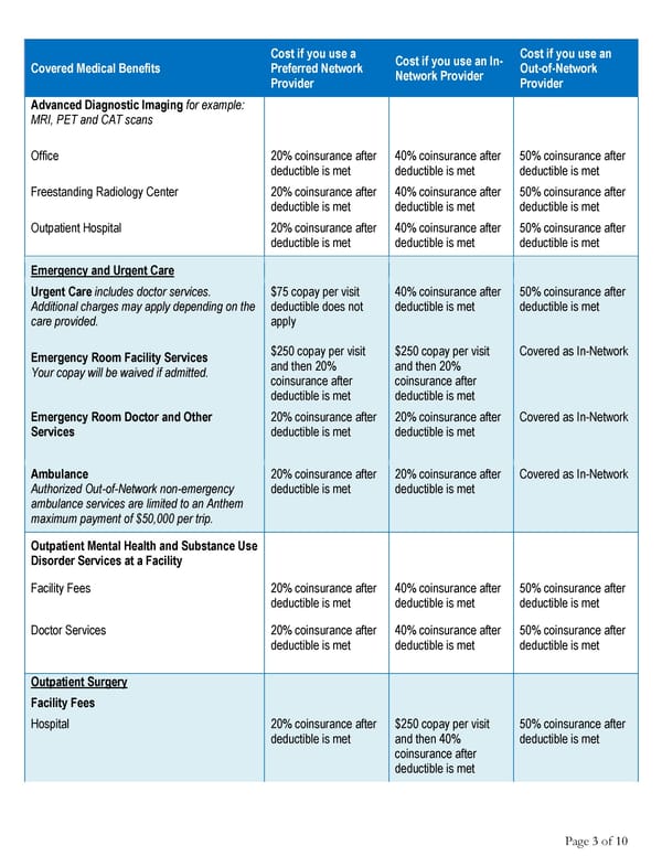 2025 Summary HCCSC Anthem HealthSync PPO 1 - Page 3