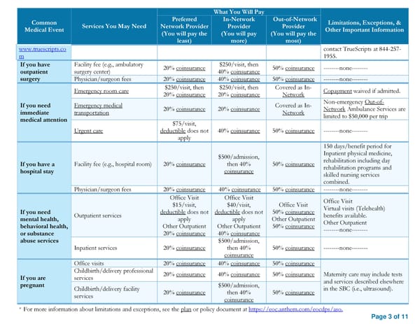 2025 SBC HCCSC Anthem HealthSync PPO 1 - Page 3