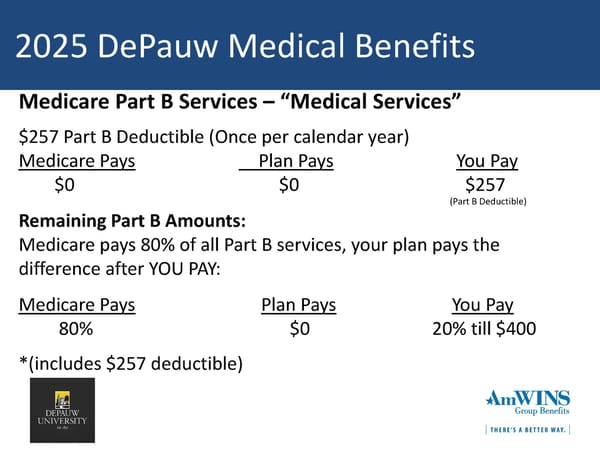 DePauw University Medical & Rx Benefits Program for Medicare Retirees - Page 17