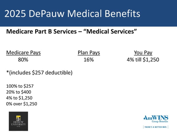 DePauw University Medical & Rx Benefits Program for Medicare Retirees - Page 18