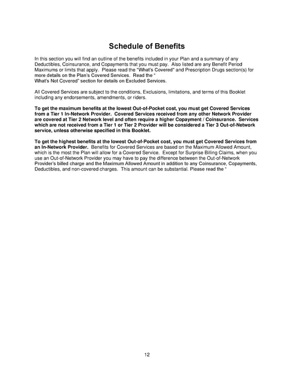 Plan 1 SPD 2025 - Page 13