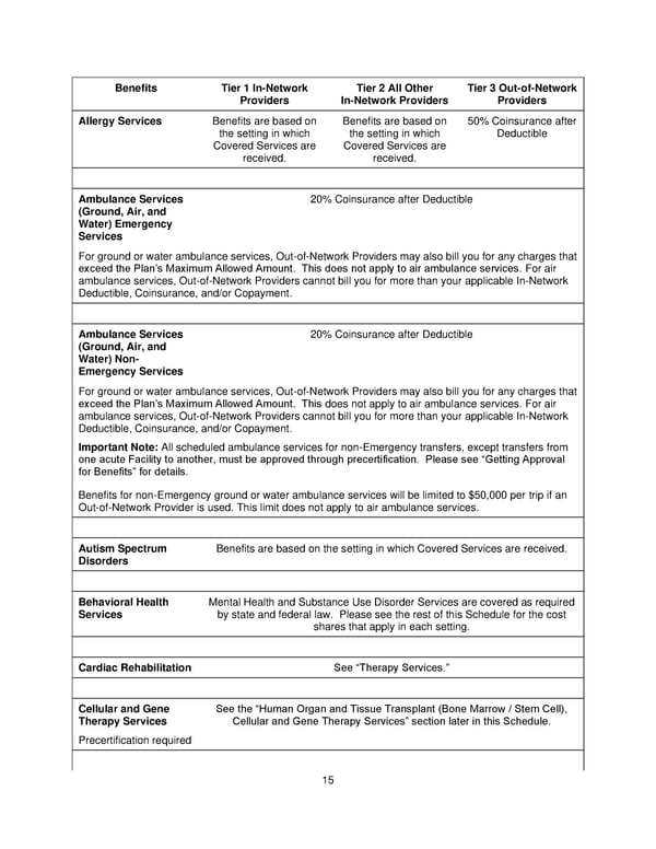 Plan 1 SPD 2025 - Page 16