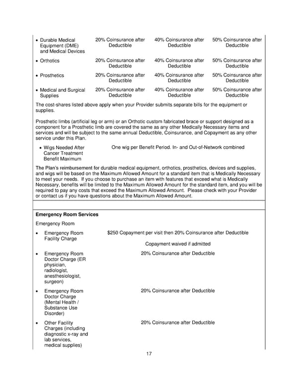 Plan 1 SPD 2025 - Page 18