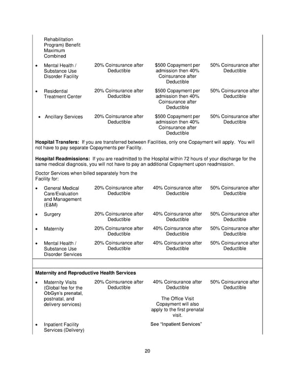 Plan 1 SPD 2025 - Page 21