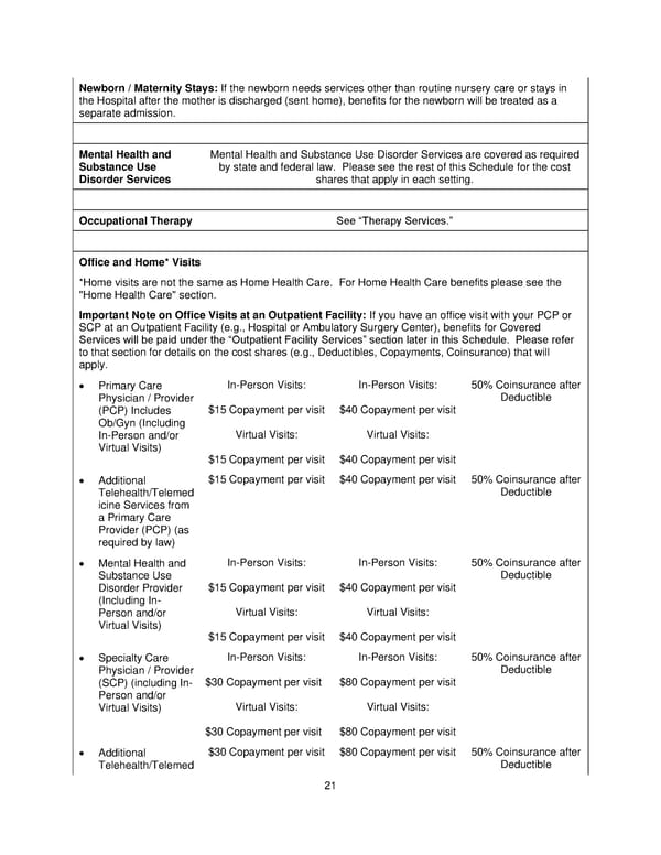 Plan 1 SPD 2025 - Page 22