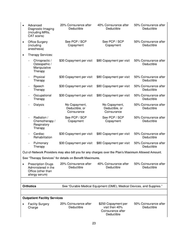 Plan 1 SPD 2025 - Page 24