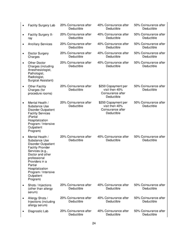 Plan 1 SPD 2025 - Page 25