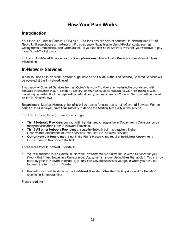 Plan 1 SPD 2025 - Page 33