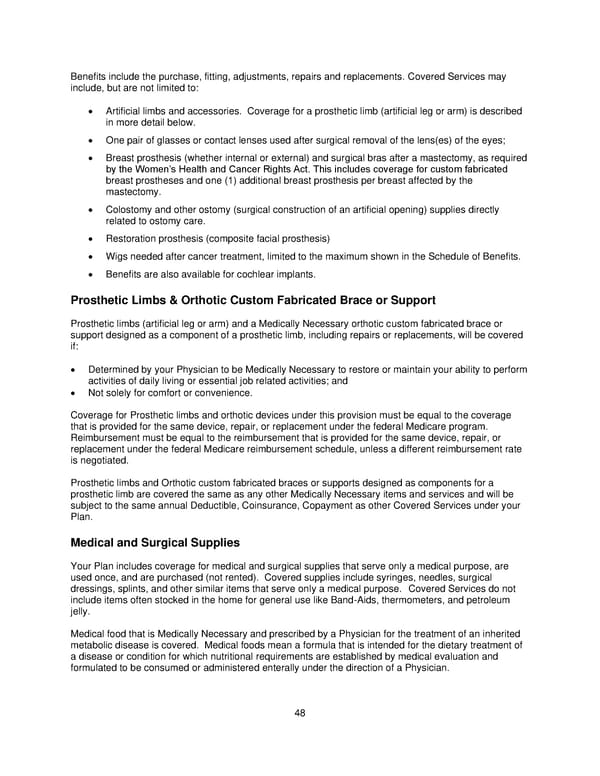 Plan 1 SPD 2025 - Page 49