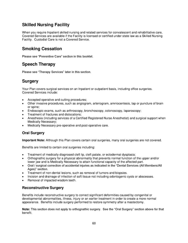 Plan 1 SPD 2025 - Page 61