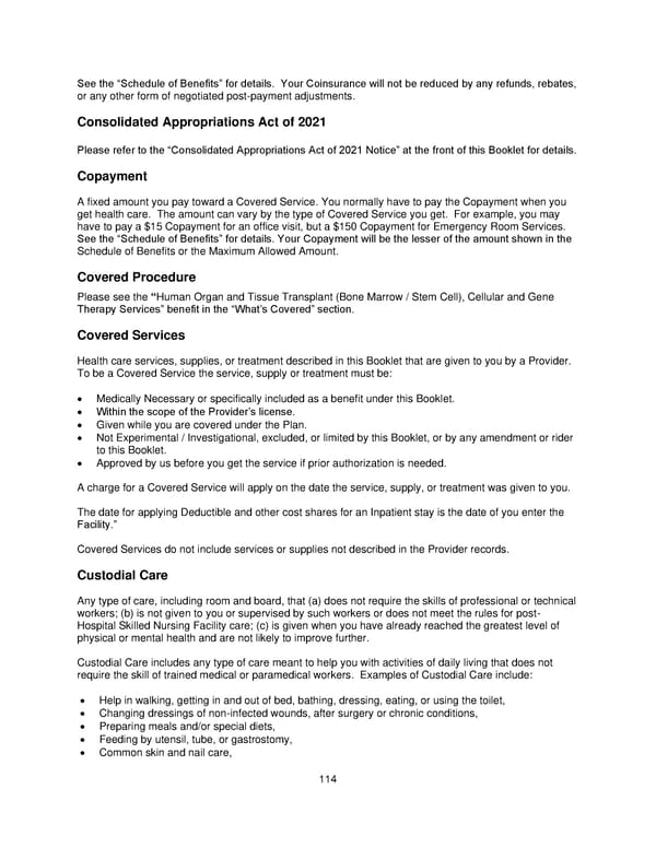 Plan 1 SPD 2025 - Page 115