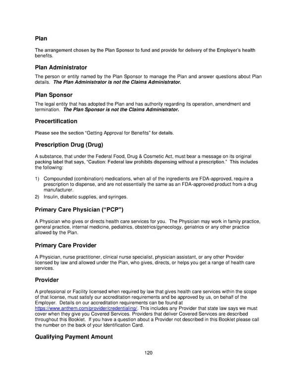 Plan 1 SPD 2025 - Page 121