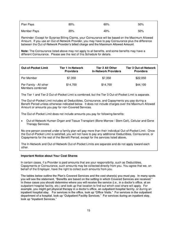 Plan 2 SPD 2025 - Page 16