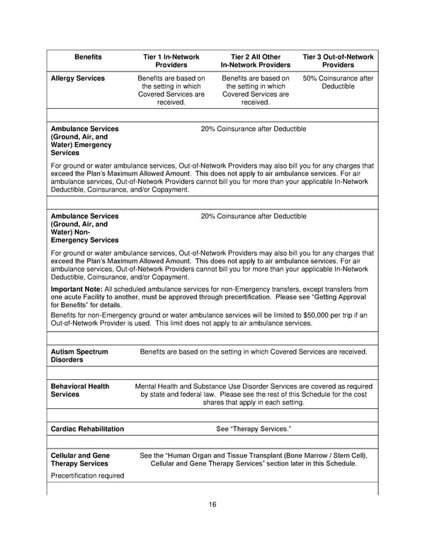 Plan 2 SPD 2025 - Page 17