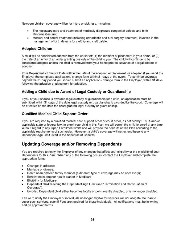 Plan 2 SPD 2025 - Page 99