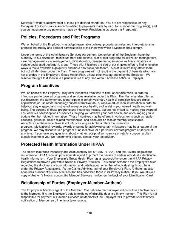 Plan 2 SPD 2025 - Page 111
