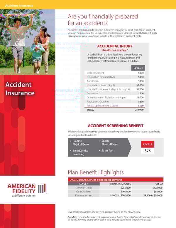 Accident Insurance Overview Level 4 - Page 1