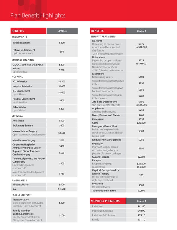 Accident Insurance Overview Level 4 - Page 2