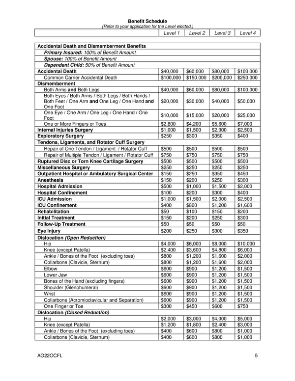 Accident Insurance Overview Level 4 - Page 9