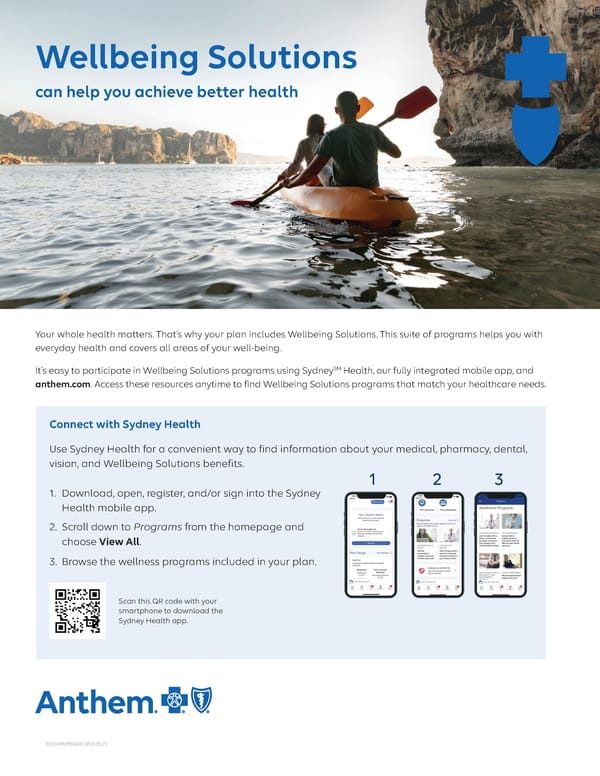 What is HealthSync?  - Page 10