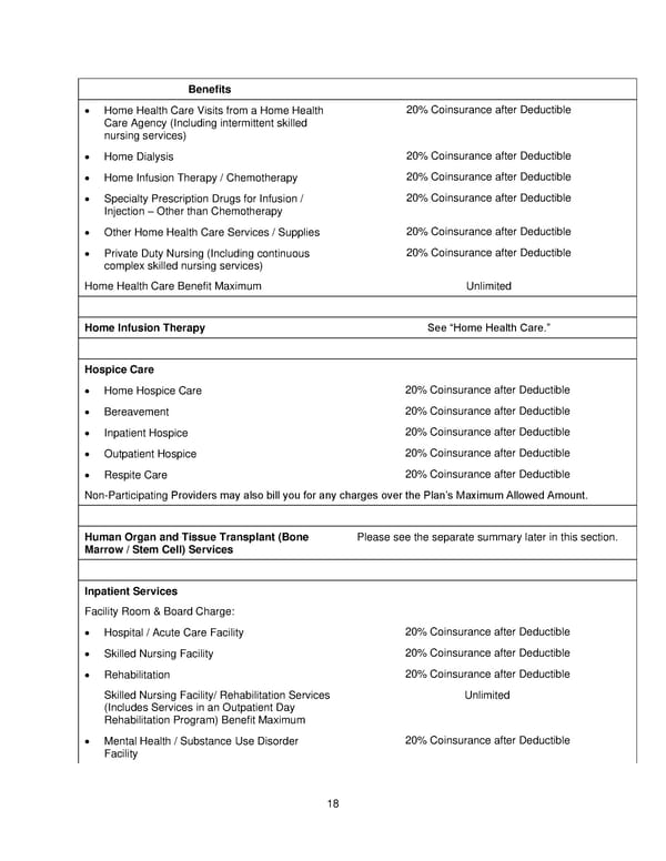 2025 Retiree Indemnity Plan Booklet - Page 19