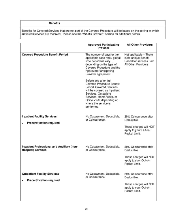 2025 Retiree Indemnity Plan Booklet - Page 27