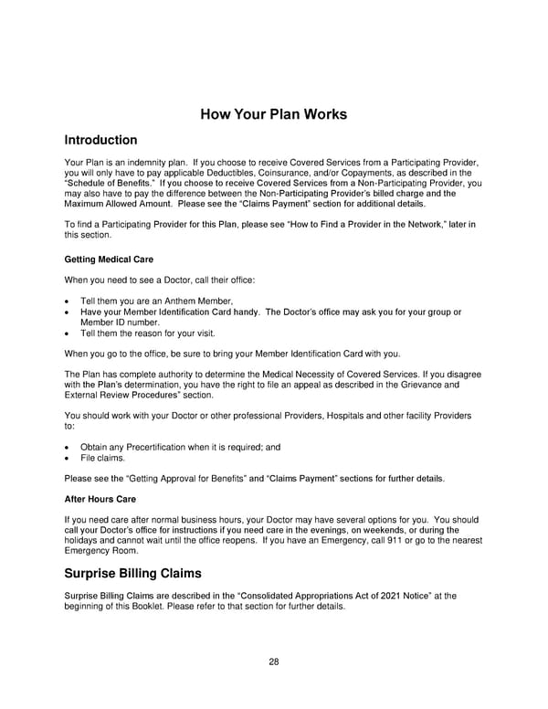 2025 Retiree Indemnity Plan Booklet - Page 29