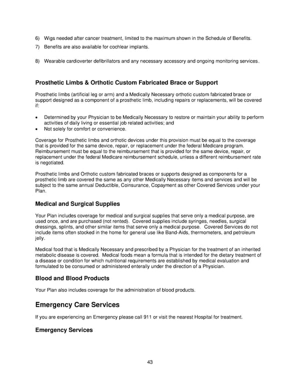 2025 Retiree Indemnity Plan Booklet - Page 44