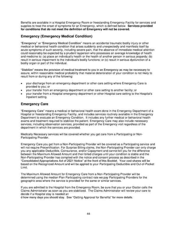 2025 Retiree Indemnity Plan Booklet - Page 45