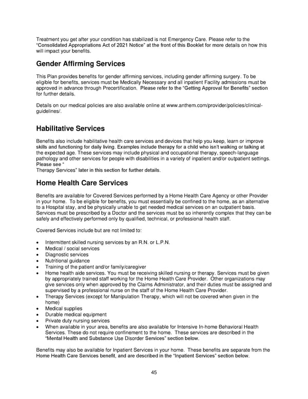 2025 Retiree Indemnity Plan Booklet - Page 46