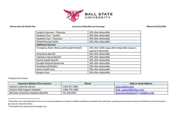 Retiree Health Plan Benefits Summary - Page 2