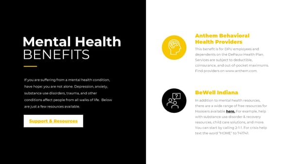 DePauw University Pre-65 Retiree Benefits Package 2026 - Page 24