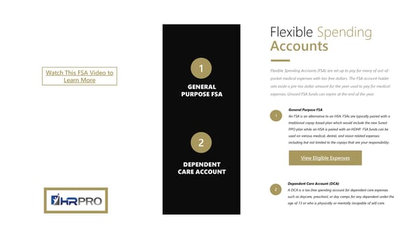 Noblesville Schools Employee Benefits Guide - Page 21