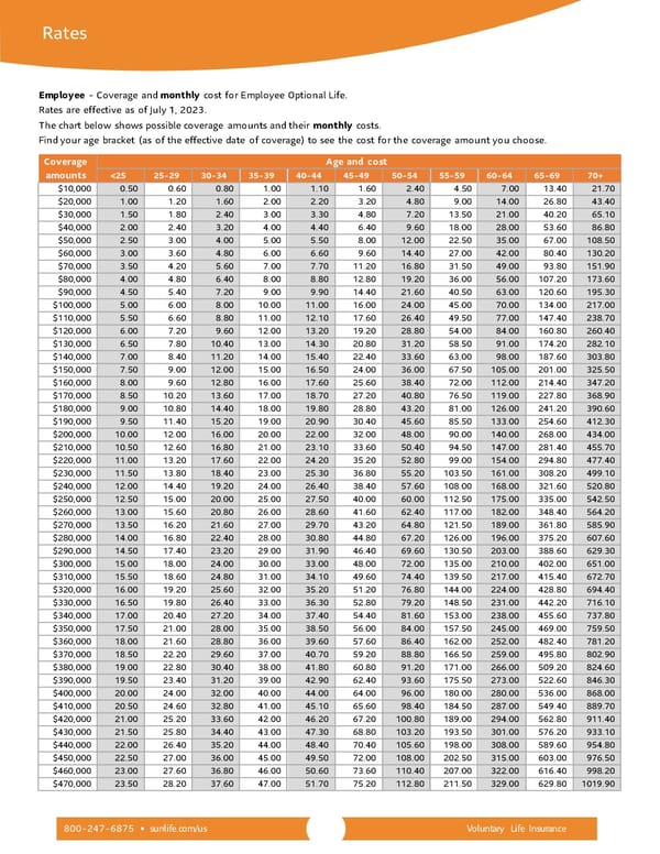 Voluntary Life Insurance Benefits - Page 4