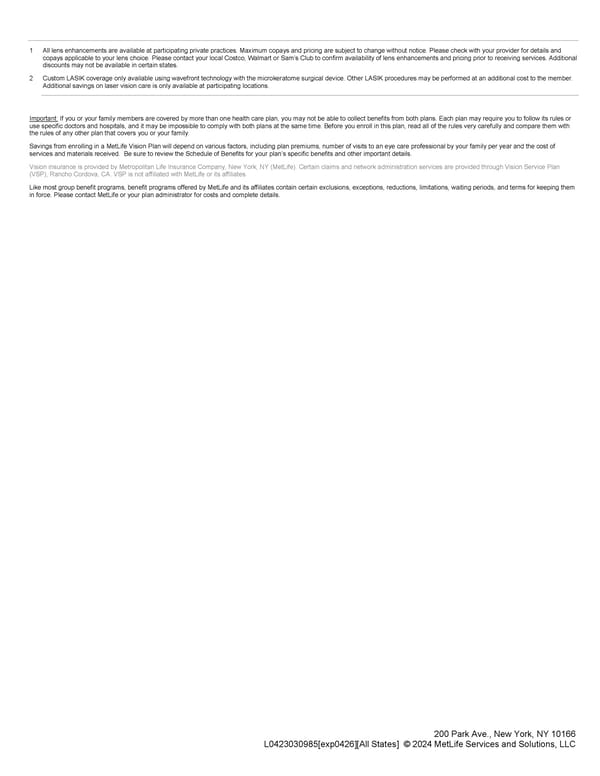 Vision Plan Summary - Page 3