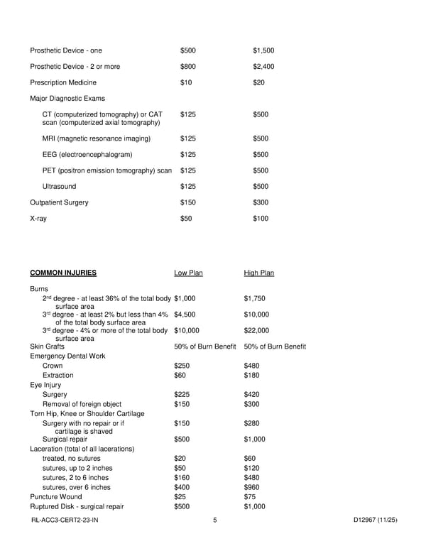 Accident Insurance Plan for Noblesville Schools Employees - Page 6