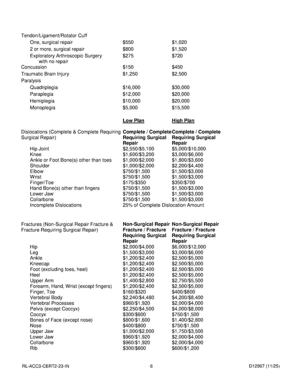 Accident Insurance Plan for Noblesville Schools Employees - Page 7