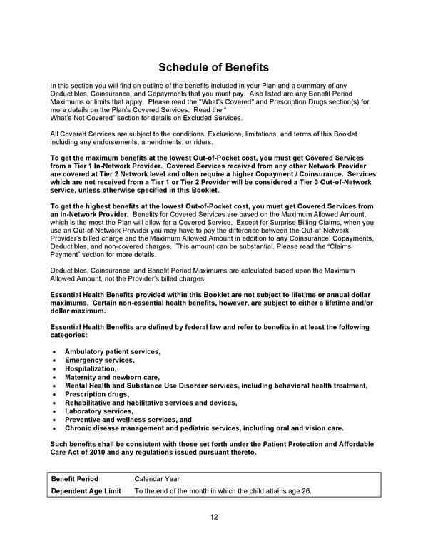 Benefit Booklet: Plan 1 - Page 13