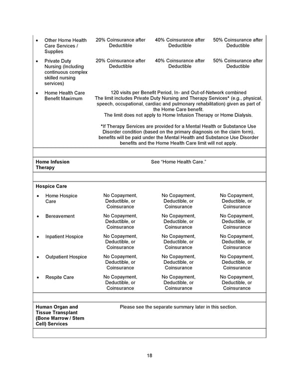 Benefit Booklet: Plan 1 - Page 19