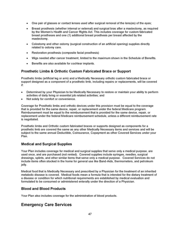 Benefit Booklet: Plan 1 - Page 48