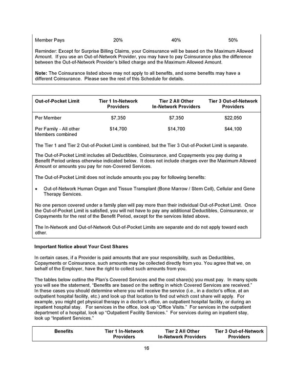 Benefit Booklet: Plan 2 - Page 17