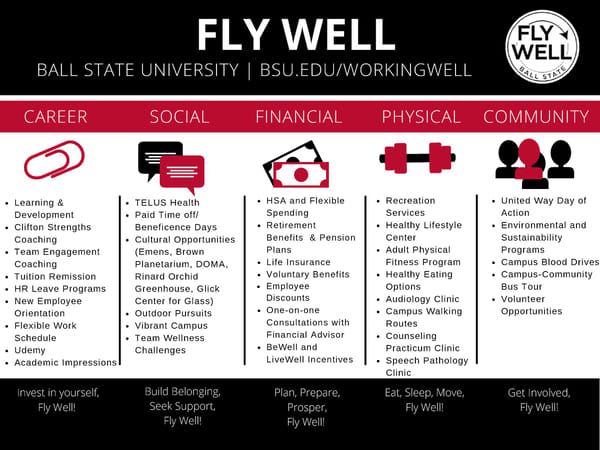 Fly Well: Program Overview - Page 1