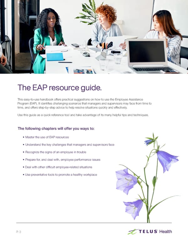 The Employee Assistance Program (EAP) Resource Guide - Page 3